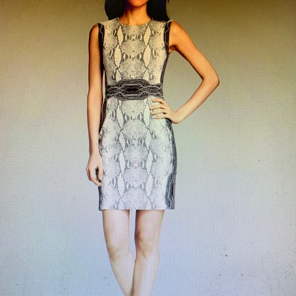 Dian Von Furstenberg Python Snake Print Dress - image 1